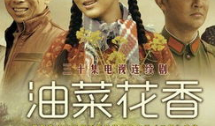 经典的农村题材电视剧,一部农村题材电视剧的温情演绎